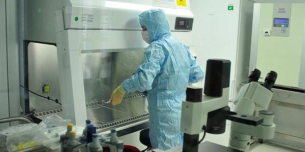 Genler kanserli hücreleri yenmek için kodlanacak