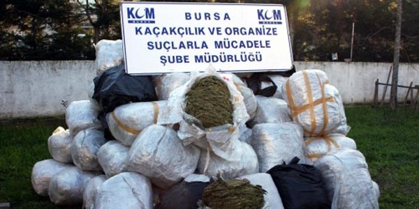 Bursa'da 1 ton 155 kilogram esrar ele geirildi