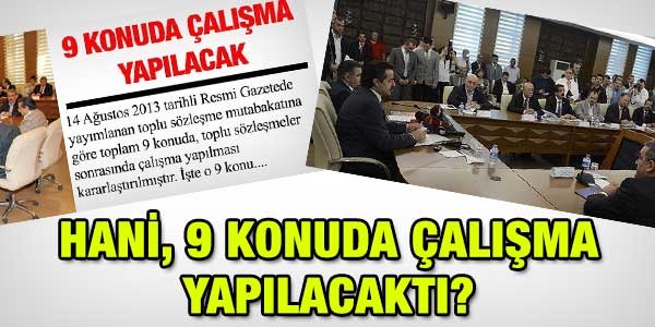 Hani, 9 konuda çalışma yapılacaktı?