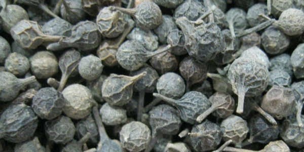 Ses kısıklığı için Kebabiye