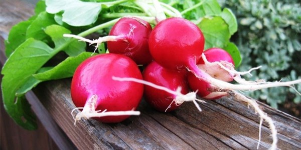 'Turp gibi' olmak için turp tüketilmeli