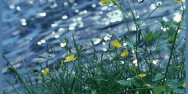 �kinci cemre suya d��t�