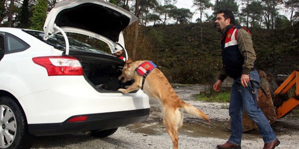 S�per burunlar su�lulara ge�it vermiyor