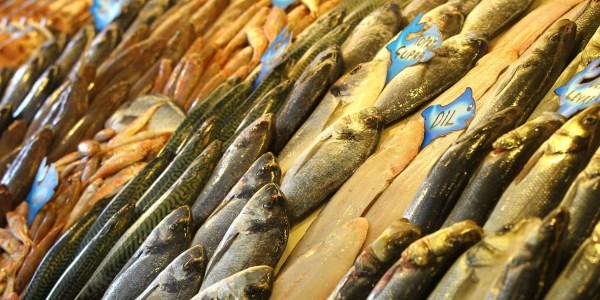 Balık şubat ayının zam şampiyonu oldu