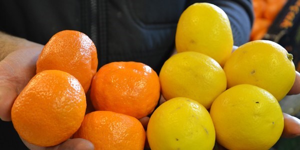 Geçen ayın zam şampiyonu mandalina