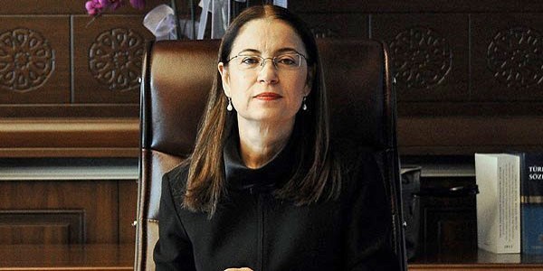 Bakanlık görme engellilere 5 bin gören göz dağıtacak