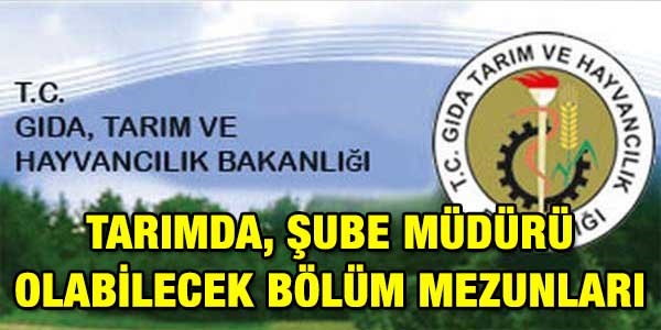 Tarımda, kimler şube müdürü olabilecek?