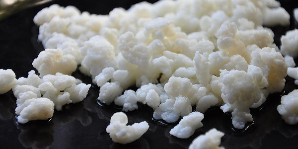 'Kefir süt ve yoğurttan daha faydalı'