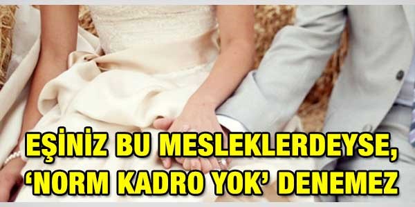 Eş durumu naklinde, 5 mesleğe özel ayrıcalık