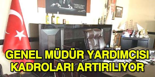 Genel müdür yardımcısı kadroları artırılıyor