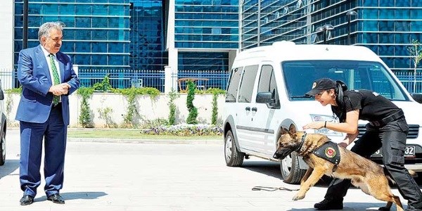 Dedektör köpeğin yıllık maliyeti 3 bin 500 TL