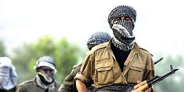 2 PKK'lı teslim oldu