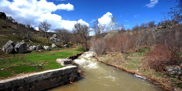 Milyonlarca hektar arazi kurakl�ktan kaybedildi