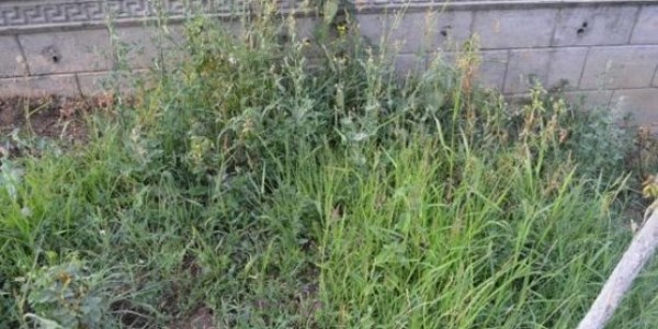 Ottan zehirlenen 3 öğrenciden biri öldü