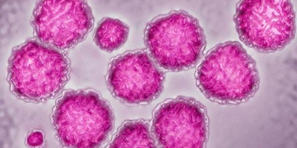 Hepatit C tedavisinde yeni ilaç
