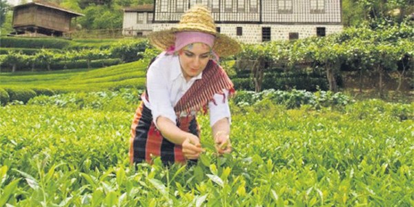 Uyku kaçırmayan 'gece çayı'