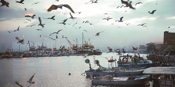 En mutlu il Sinop'un sırrı