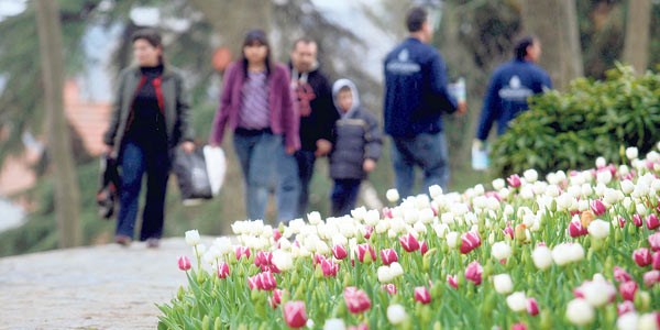Bahar yorgunluğunu bu tavsiyelerle atlatın/ Video