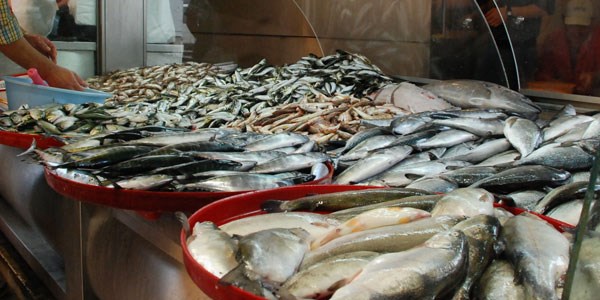 Sezon kapandı, balık fiyatları arttı