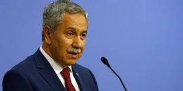 Arınç: Başbakan kimseye vurmadı
