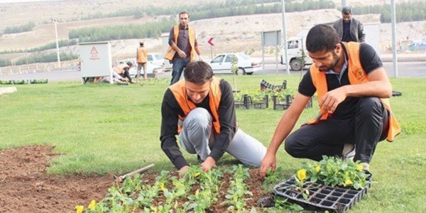 Taşerona ücret, kıdem ve yıllık izinde yeni haklar