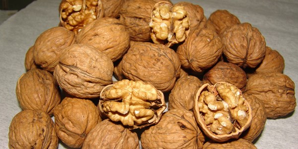 Alzheimer ve depresyona karşı ceviz tüketilmeli