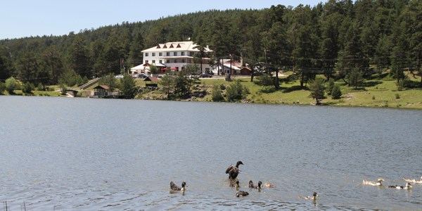 Tatillerde otel yerine eş dost evini tercih ediyoruz