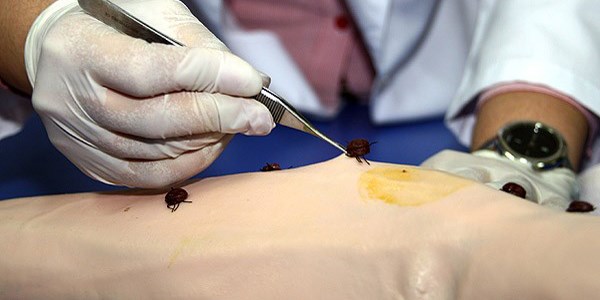 KKKA hastalığı şüphesiyle yeni ölüm