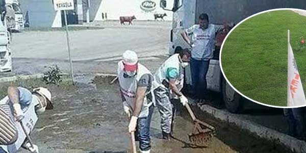 O tezek bahçesi bir gecede çiçek açtı