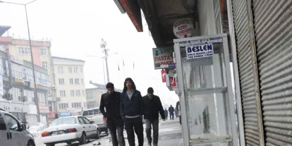 BDP'nin çağrısıyla kepenkler açıldı