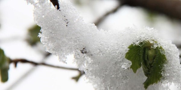 Doğal afetlerin tarıma faturası ağır olacak