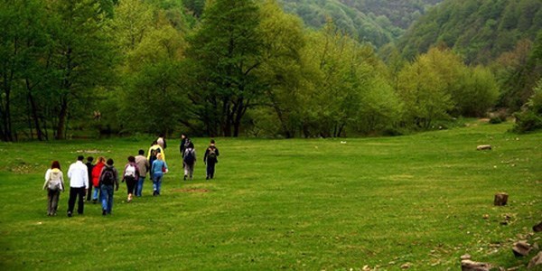 Yürüyüş yapmak mutlu ediyor