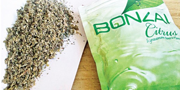 'Bonzai çocukları fare gibi öldürüyor'