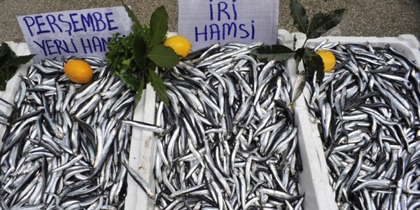 Bal�k��lar ramazanda umdu�unu bulamad�