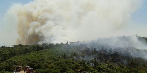 İzmir'de iki ayrı orman yangını