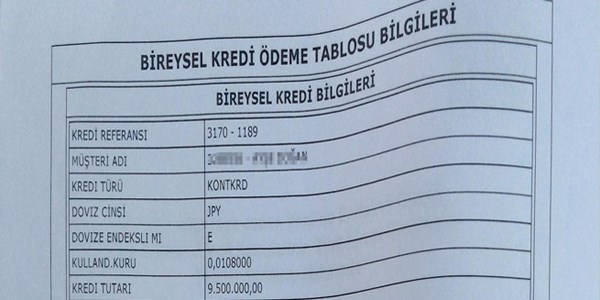 Direnen dövizzede yapılanmada kazanıyor