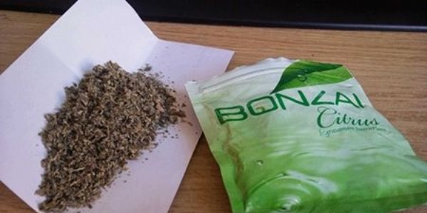 Btn polislere emir: Bonzai deil cannabinoid