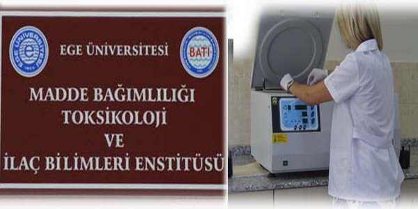 Bonzai 150 TL'lik teste takılıyor