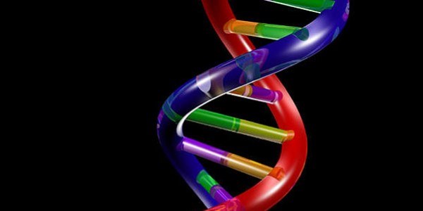Trk bilim adamndan kansere kar 'DNA onarm' buluu