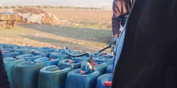 Kod adı: 10 numara