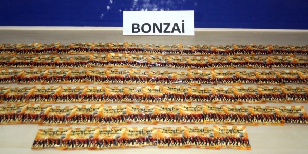 'Bonzai bedeni şarkısı zihinleri zehirliyor'