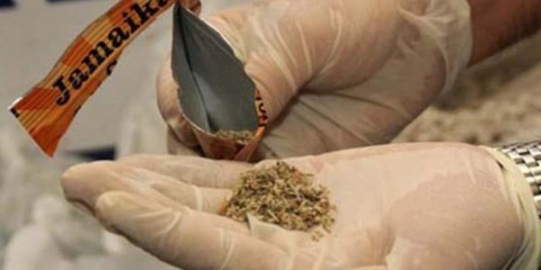 Ankara'da bonzaiye bir kurban