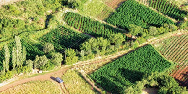 ��z�m s�reci uyu�turucu ekimini azaltt�