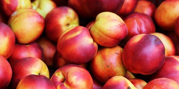 �eftalinin fiyat� yolda ��e katlan�yor