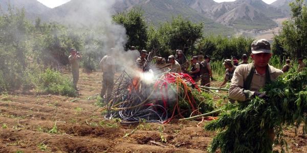Elazığ'da büyük uyuşturucu operasyonu