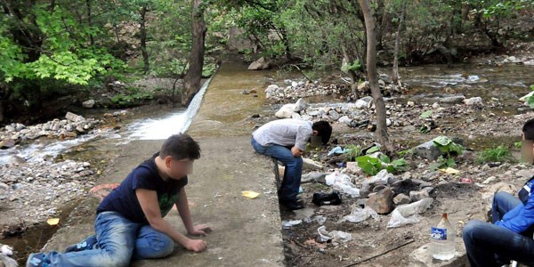 İşte Türkiye'nin Bonzai haritası