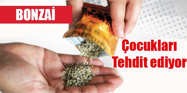 Bonzai çocukları tehdit ediyor