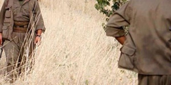 2 PKK'lı teslim oldu
