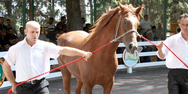 T�GEM'in l�ks daire fiyat�na taylar� kap���ld�