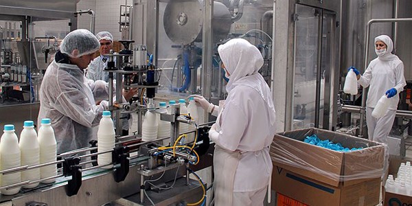 Süt ve süt ürünlerine sıkı denetim